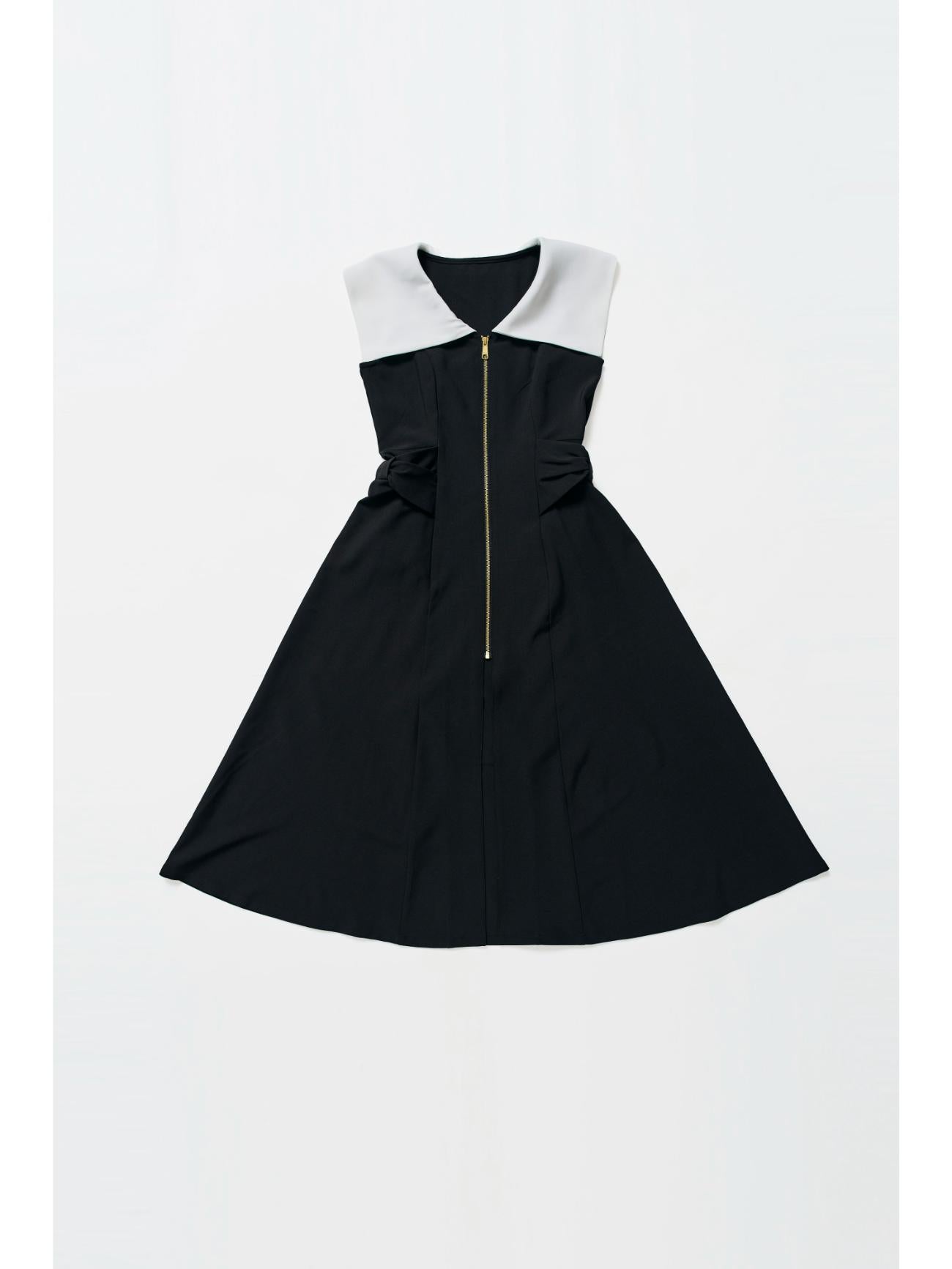 Pocket Ribbon Flare Dress